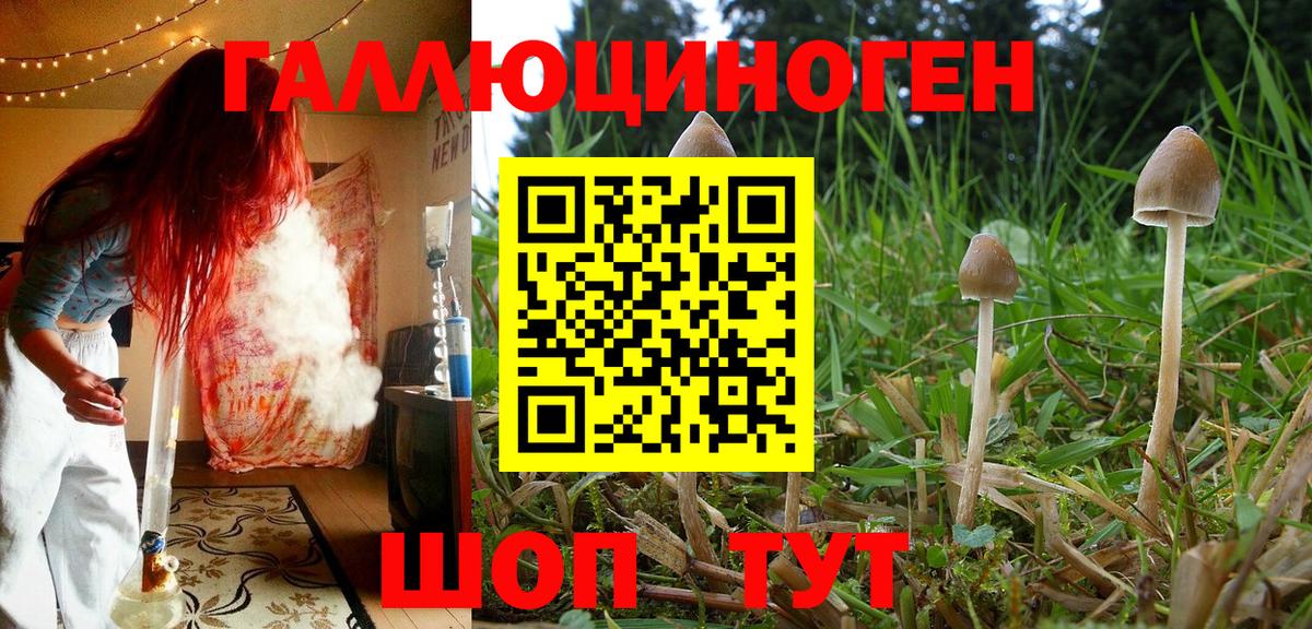 Псилоцибиновые грибы мухоморы Шебекино