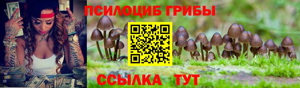 Шебекино  Псилоцибиновые грибы Cubensis  Вход с VPN  Галлюциногенные грибы Cubensis 